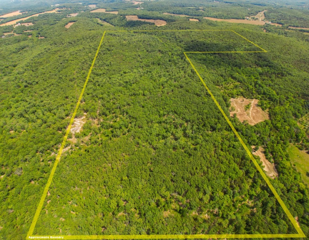 Deer Hunting Land For Sale in Vienna MO featured image