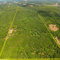 Deer Hunting Land For Sale in Vienna MO