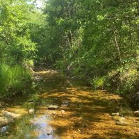 Deer Hunting Land For Sale in Vienna MO images 2