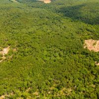Deer Hunting Land For Sale in Vienna MO images 3