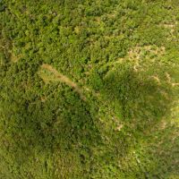 Deer Hunting Land For Sale in Vienna MO images 4