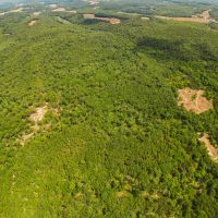 Deer Hunting Land For Sale in Vienna MO images 5