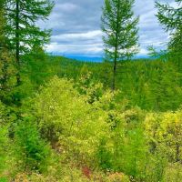 New Beginnings On Boon Road images 3