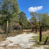 164 Acres Murray Lane images 3