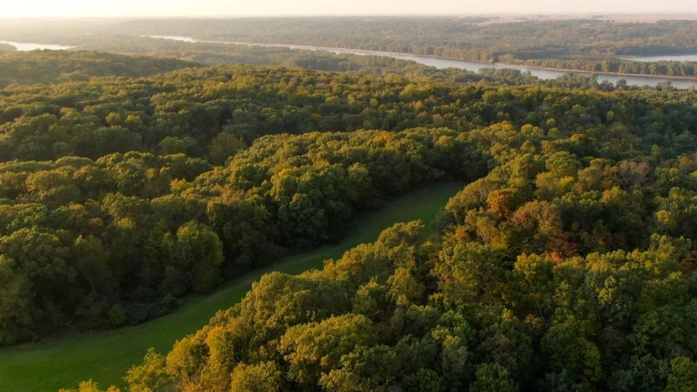 Putnam County Illinois 99 Acres of Land For Sale featured image