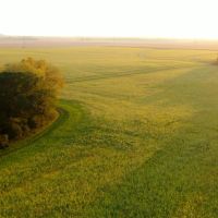 Putnam County Illinois 99 Acres of Land For Sale images 4