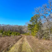 69 Acres Off JB Pride Road