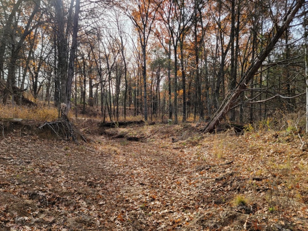 305 Stuckey Road Gordonville 58.739 Acres featured image