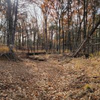 305 Stuckey Road Gordonville 58.739 Acres