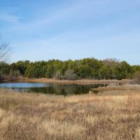 305 Stuckey Road Gordonville 58.739 Acres images 3