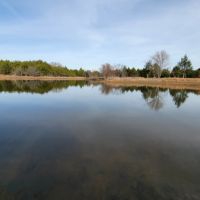 305 Stuckey Road Gordonville 58.739 Acres images 5