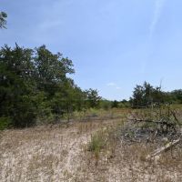 1345 Davis Rd Tr 4 images 2