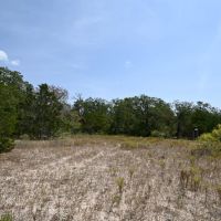 1345 Davis Rd Tr 4 images 5