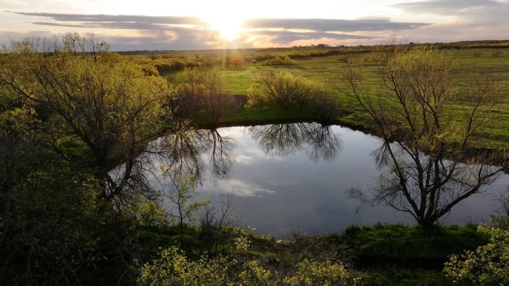 Dove Meadows featured image