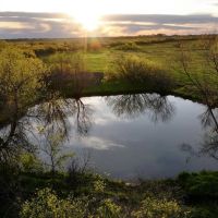 Dove Meadows