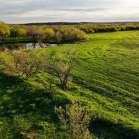 Dove Meadows images 2