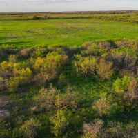 Dove Meadows images 3