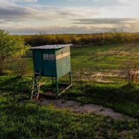 Dove Meadows images 4