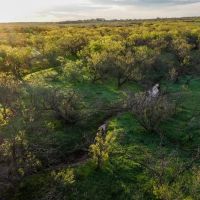 Dove Meadows images 5