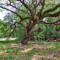 Harmony Rd Weimar TX 78962 images 3