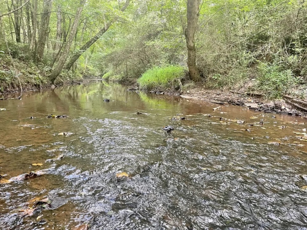 TRESTLE CREEK TRACT featured image