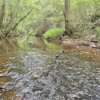 TRESTLE CREEK TRACT
