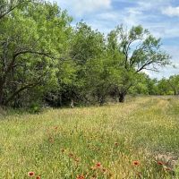 New Listing 13.1 Acres Tract 9 Callahan County images 5