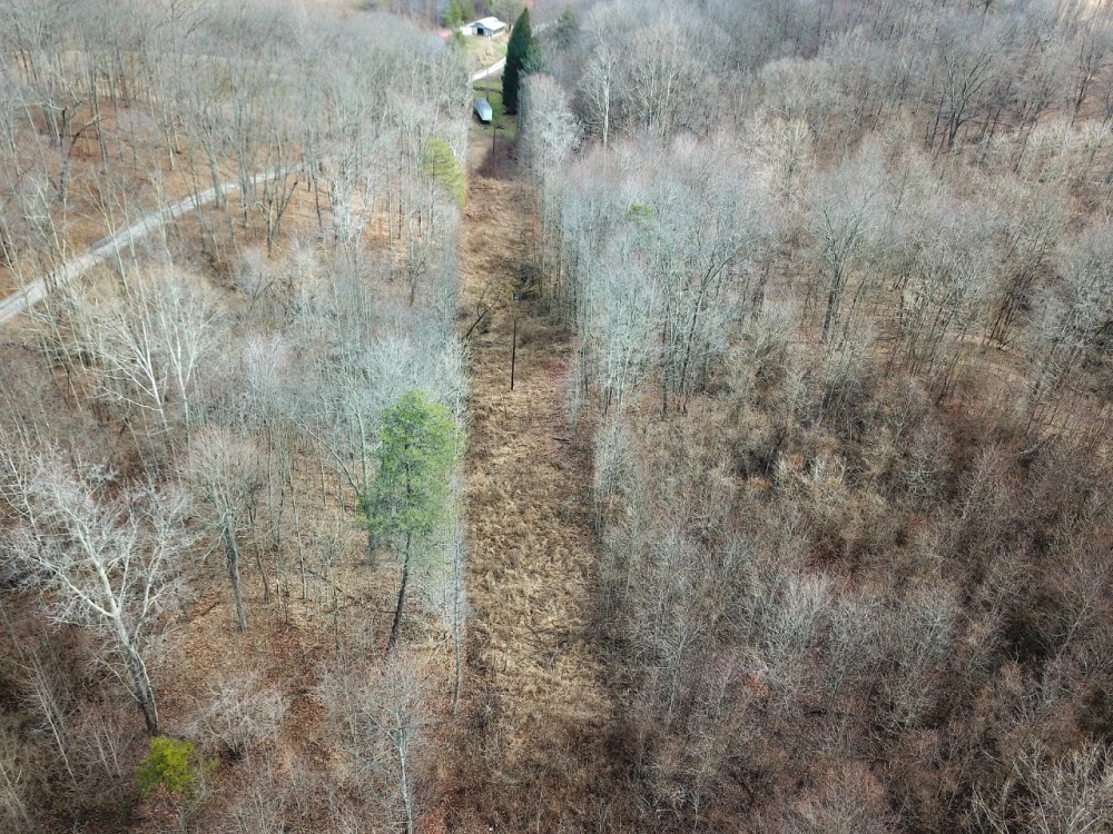 69 Acres Vinton County featured image