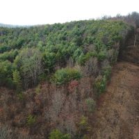 69 Acres Vinton County images 4