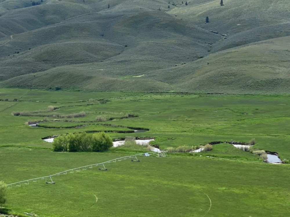 Bridgeport Arriola Ranch featured image