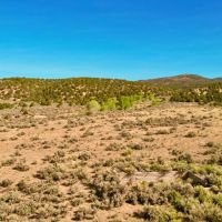 Captivating Culebra Creek Ranch images 3
