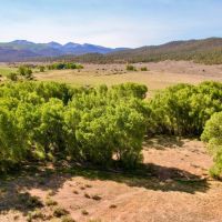 Captivating Culebra Creek Ranch images 4
