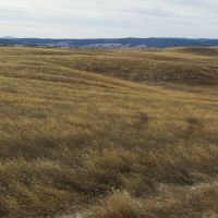 South Dakota Black Hills Development Land images 4