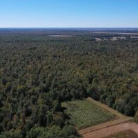 360 - Acres High Fence Land for Sale North Louisiana