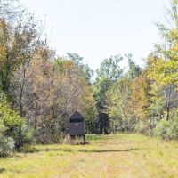 360 - Acres High Fence Land for Sale North Louisiana images 4