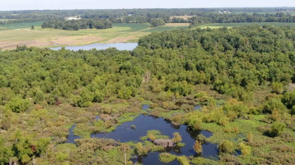 Franklin County Illinois 250 Acres For Sale featured image