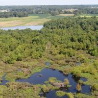 Franklin County Illinois 250 Acres For Sale