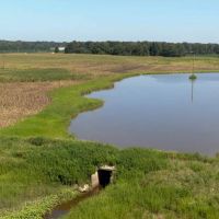 Franklin County Illinois 250 Acres For Sale images 5
