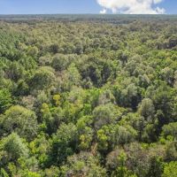 Turnkey Hunting Camp with 120 Acres for Sale Southeast LA images 5
