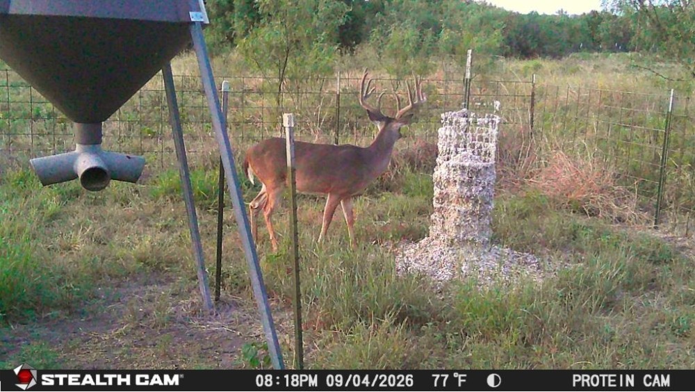10pt 9-26 featured image