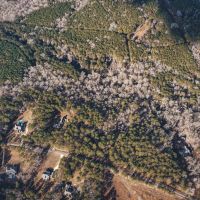 Large Residential Lot in Lincoln Parish images 2