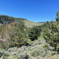 First Water Creek Mountain Retreat images 5