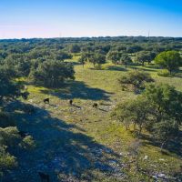 282 Acres McCulloch County Texas images 4
