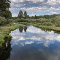 Big Hole River Ranch images 3