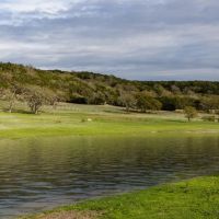 Scimitar Hill Vineyard Ranch images 4