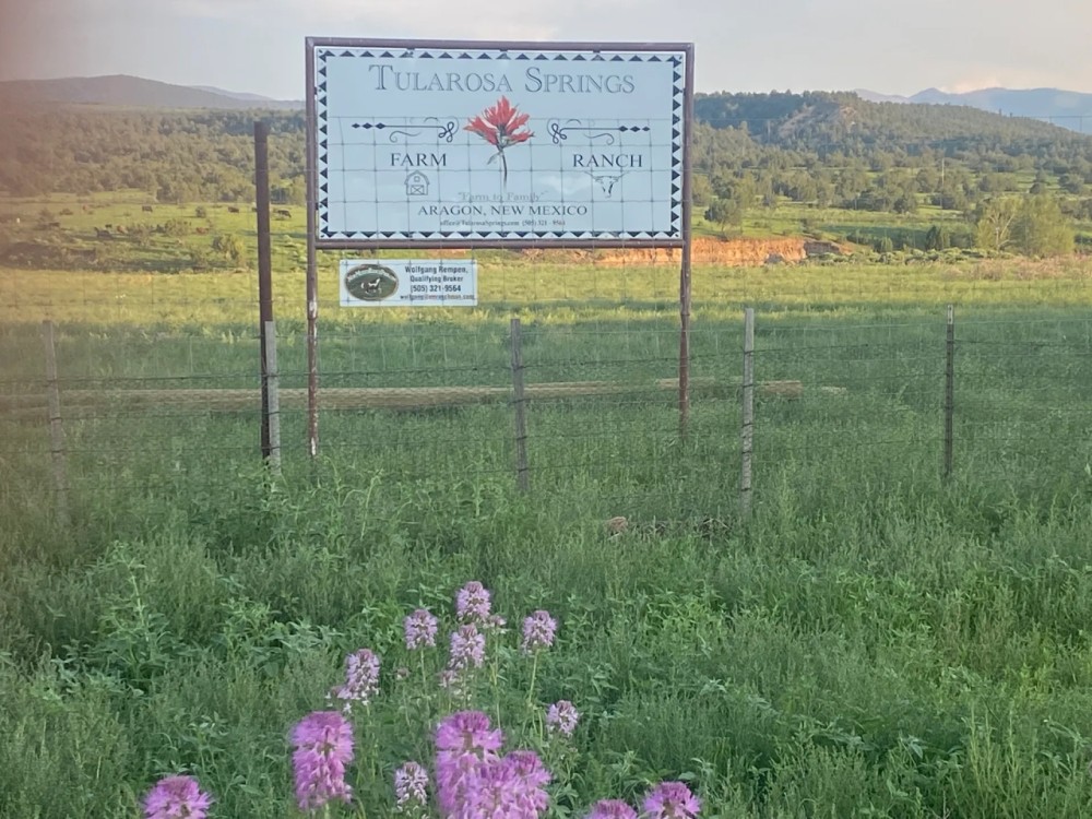 Tularosa Springs Farm Ranch - Aragon NM featured image