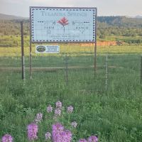 Tularosa Springs Farm Ranch - Aragon NM