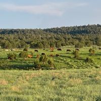 Tularosa Springs Farm Ranch - Aragon NM images 3