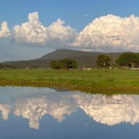 Tularosa Springs Farm Ranch - Aragon NM images 5