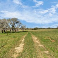 1497 Reed Creek Harwood TX images 5